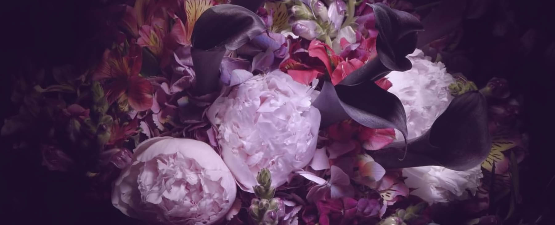 Ormond Flowers Flowers Beauty Starts Here